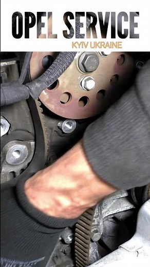 Fast replacement timing belt B20DTH #shorts