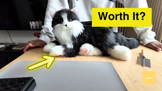 Watch Watch Before Buying - Interactive Companion Robot Cat on Amazon Live