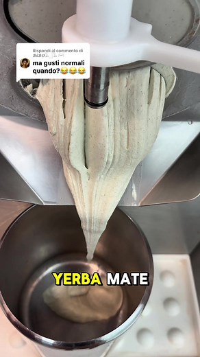 Gelato alla Yerba Mate: ricetta gelato artigianale facile