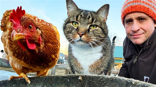 Farmlife: Fixing a Frozen Water Hydrant