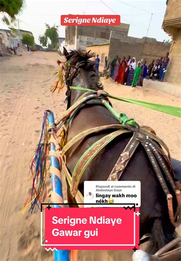 Risposta a @Abdoulaye Gaye tapha Sarr Gawar gui Touba course hippique Senegal hippique mobile horse cheval caballo cavallo troté vs galop#senegal #animal #10milproblem #thiosanesérère #thiosanehalpulaar