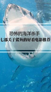 7部关于鲨鱼的电影，深海杀手太恐怖