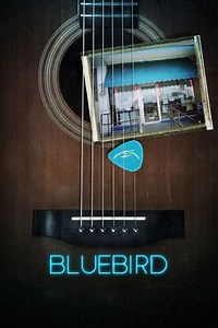 Bluebird - Where to Watch