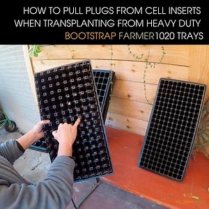 A quick tip for pulling plugs out of a cell tray. All about the moisture control 😉 Thanks @urbandirtco for the tips! . . . . . #seeds #garden #marketgardening #farming #seedstarting | Bootstrap Farmer