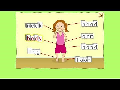 STARFALL All About My Body