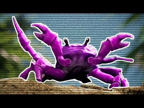 The Crab Behind The Slaughter