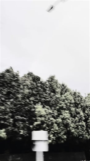 Videos de Juliana Lopera 💋 (@nana_lopera) con “original sound - 🎀Artistastrendingnow🎀”