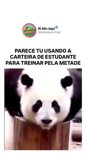 COMO PAGAR MEIA para TREINAR? #memes