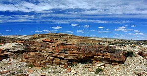 Bosque petrificado é atração do fim dos tempos, na Patagônia argentina