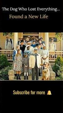 From a Rich House to the Streets: Barker’s Story #film #movie #yoitubeshorts