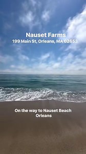 40K views · 2K reactions | Provincetown | Cape Cod, Massachusetts | Facebook