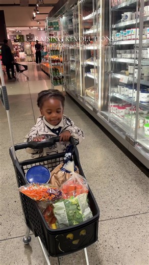 Envisioning Small Trolleys: A Creative Perspective