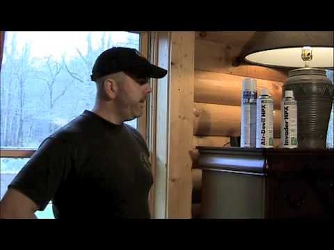 Ladybug infested Log Cabin featured and then treated.