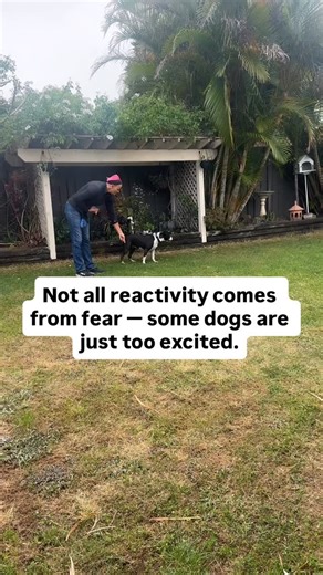  Not all reactivity comes from fear — some dogs are just too...