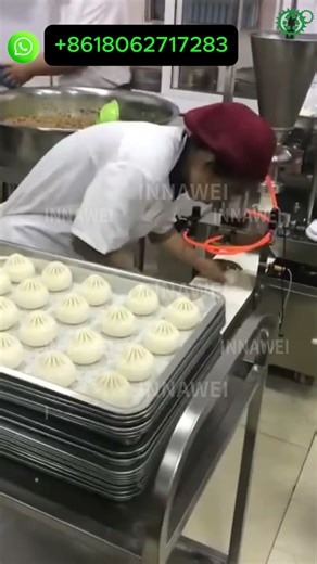 Industrial Steam Bun Stuffed Snack Machine | Baozi, Mantou, Momo, & Stuffed Snack Automatic Machine