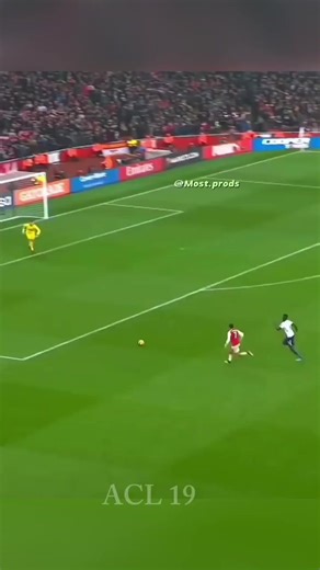 ACL 19: 10m Version 200k Leek Palis Prow