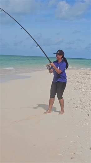 Sun_Day | Roger King