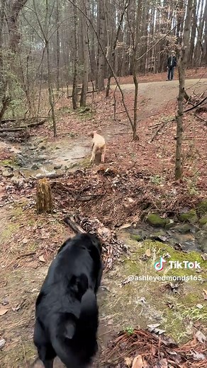 Good day for a walkie❤️