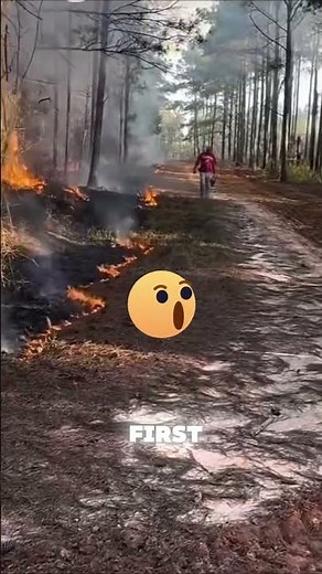 🔥 Not Wildfire! This Smart Technique Prevents Forest Fires 🔥