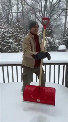 lets go sault ste marie