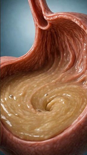How Does Your Stomach Digest Food? #stomach #digestion #3danimation #anatomy