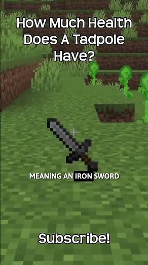 How Much Health Does A Tadpole Have In Minecraft?!