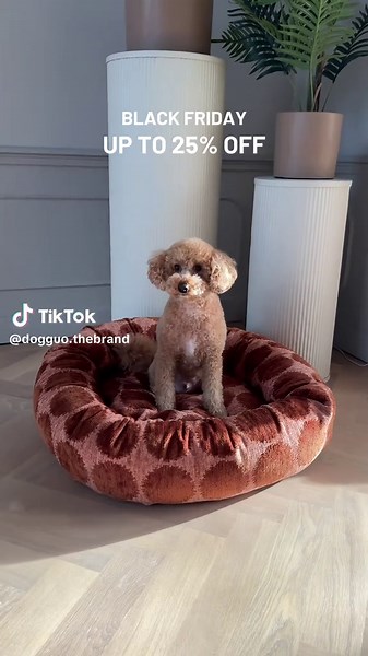 Our Black Friday deals are ending soon… don’t forget to shop your dog’s favorites with up to 25% off 🎁 #blackfriday #shopping #dogaccessoires #discount #shopwithdiscount