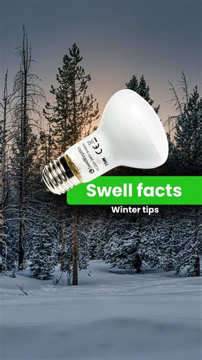 Cold weather reptile tip Heat bulbs run longer in winter, which can shorten their lifespan. Always keep spare bulbs (and thermostat fuses if needed) to avoid sudden temp drops #reptile #reptilekeeper #reptiles #reptilelover #animals | Swell Reptiles