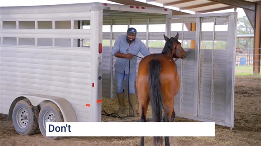 10K views · 148 reactions | A horse that won’t load isn’t being...