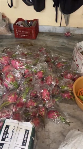 Prem Vlogs on Instagram: "White Dragon kosam enthamandhi waiting just 19rs per peace"