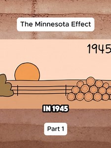 The Minnesota Effect #2d #animation #human #evolution #explain | animation