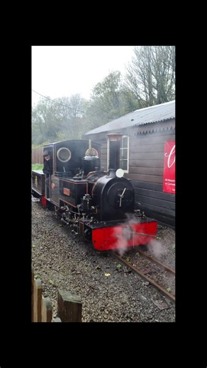 Trains over the weekend #trains #steamtrains #fyp #gwr