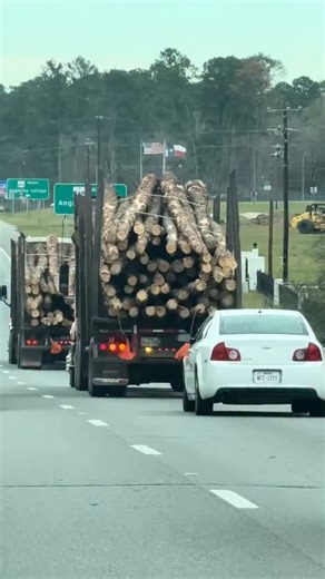 Alfred “Fredo” Thomas III on Instagram: "Somebody check on them 😂 Subscribe to my YouTube with the link in my bio 🤙🏾 #fredotv #comedy #reaction"