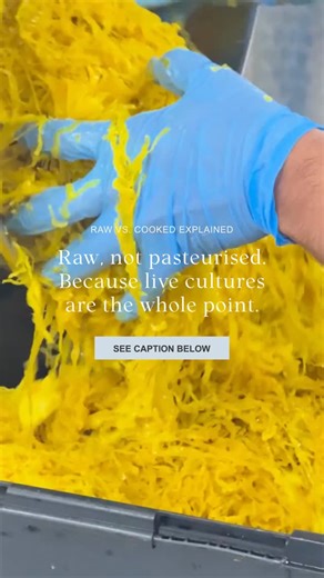 Wildly on Instagram: "You’ll never see pasteurised on a Wildly label, and that’s completely intentional. Pasteurisation uses heat to kill bacteria and extend shelf life. It also wipes out the very thing fermented food is made for: live cultures. Wildly ferments are raw and unpasteurised, which means the beneficial bacteria created during fermentation stay alive and active. That’s what supports your gut, digestion, and overall balance, not just flavour. Cooked ferments might last longer on the sh