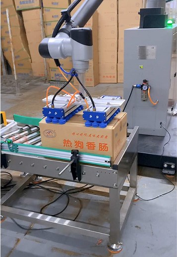 Enhancing Workshop Efficiency with Robotic Palletizer