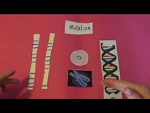 celler stråling dna mutation