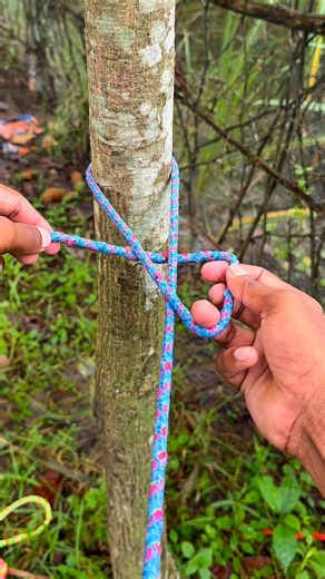 Amazing Rope Knot Trick | Strong & Secure Tree Binding Knot #survival #lifehacks #knot