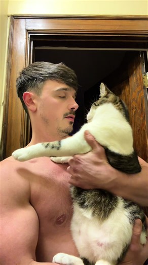 Cat Fitness Tips for a Happy, Healthy Feline