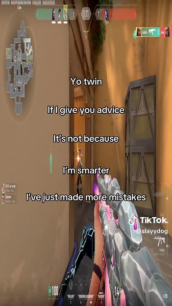 Lessons from Mistakes: A Roblox Twin Story