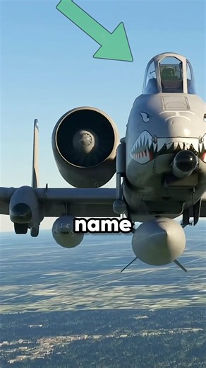 Why is the A-10 Thunderbolt II called the Warthog?