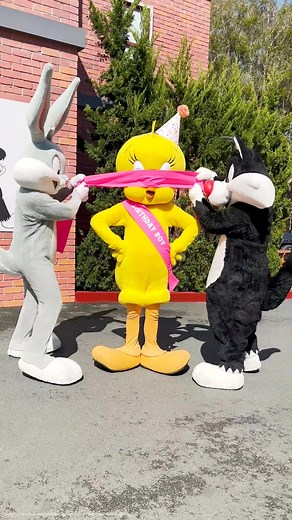 Celebrate 80 years of Tweety 🥰 Bring your party hat and join Tweety and his friends for limited time only shows and entertainment these school holidays at #movieworldaus 🙌 #tweety80 #warnerbros #cartoon #looneytunes #bugsbunny #goldcoast #fyp #fun #party #foryou #foryoupage #themepark #australia