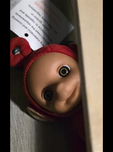 Shocking Discovery Under the Mattress: Watch This!