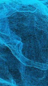 15K views · 251 reactions | T-Rex or Pliosaur: who's gonna win?? | Nature | PBS | Facebook