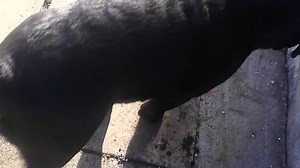 16K views · 326 reactions | SYNCOPE OR EPILEPTIC SEIZURE?...