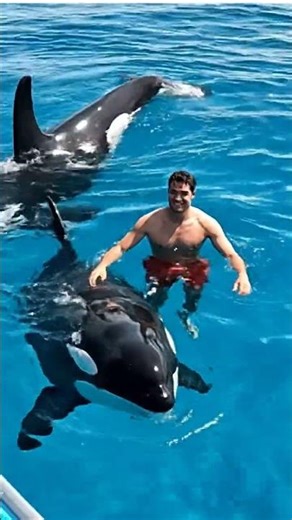 ONCE-IN-A-LIFETIME: Man Swims with a Pod of WILD Orcas! 🐋 | Breathtaking Interspecies Connection