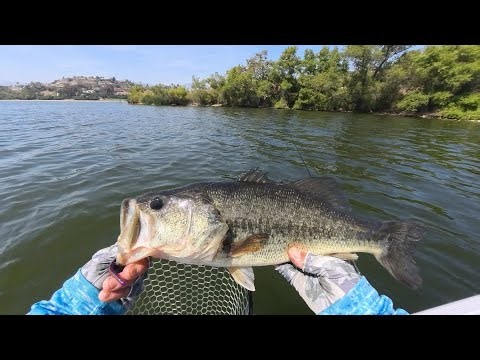 Puddingstone Reservoir Bass Fishing | June 3, 2026