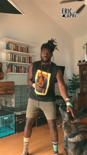 How Does An E-Collar Feel, And Why Do People Call It A Shock Collar