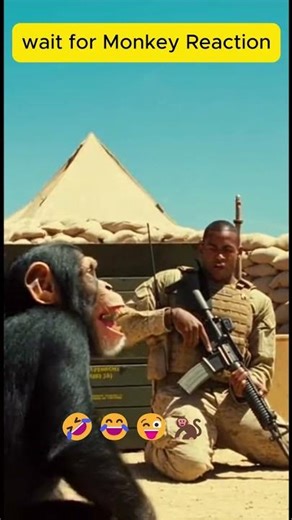 WATCH THIS CHIMP ACCIDENTALLY FIRE A MILITARY RIFLE!
