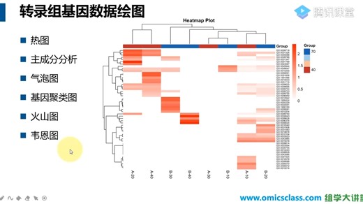 聚类热图之Hiplot