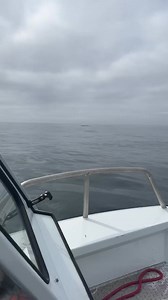 3K views · 23 reactions | Some  tale action of of beautiful Winchester Bay Oregon today Apocalypse Guide Service #saltlife #offshore #memories #videos #apocalypseguideservice #DiscoverWinchester | Southern Oregon Anglers Charter & Guide Service | Facebook